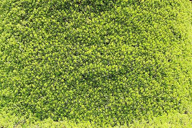 CDPR新招聘信息显示 未来新作将登陆Switch2