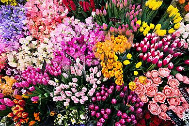 猎奇风格平台跳跃游戏《你是食管人》公布上市日期